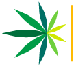American Cannabis Consulting